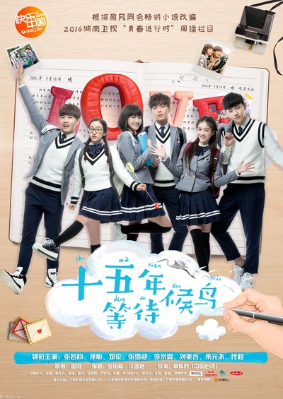 十五年等待候鸟的海报-正式海报 中国大陆