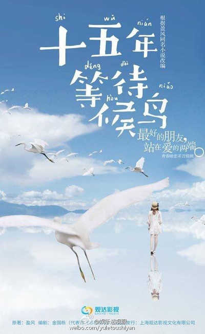 十五年等待候鸟的海报-预告海报