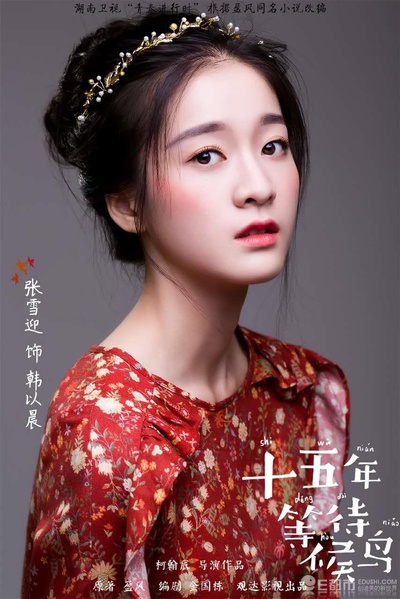 十五年等待候鸟的海报-角色海报