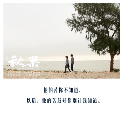 秘果的海报-其他海报 中国大陆