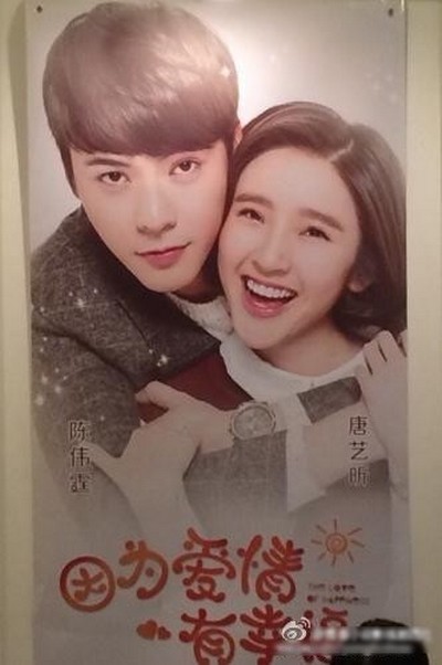 因为爱情有幸福的海报-其他海报