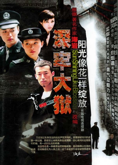 深牢大狱的海报-正式海报