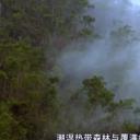 古巴：意外的伊甸园剧照
