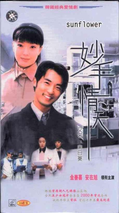 妙手情天的海报-正式海报