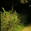 公路电影剧照