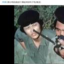 撞板神探电子龟剧照