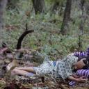 女殺油地獄剧照