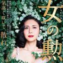 女人的勋章