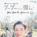 咕咕是一只猫2