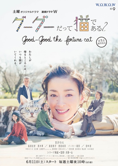 咕咕是一只猫2的海报-正式海报 日本