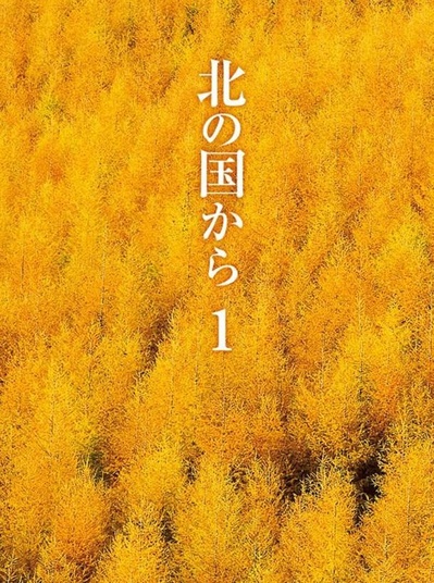 北国之恋的海报-正式海报
