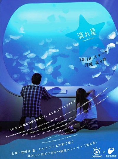流星的海报-其他海报 日本