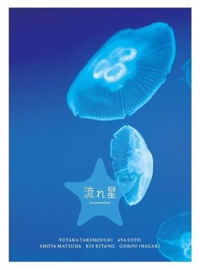 流星的海报-其他海报