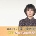 羁绊：奔跑的奇迹小马
