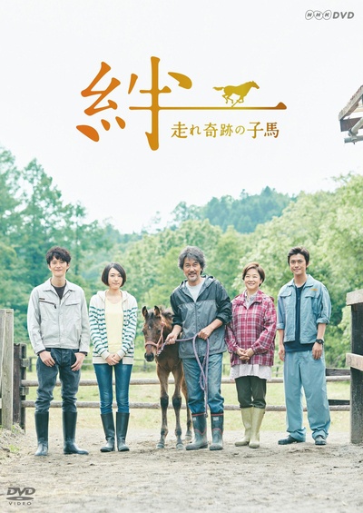 羁绊：奔跑的奇迹小马的海报-正式海报
