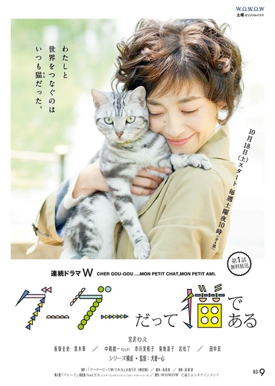 咕咕是一只猫的海报-正式海报 日本