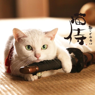 猫侍 第一季的海报-角色海报 日本
