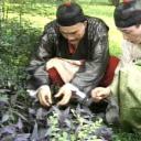 皇帝也风流剧照