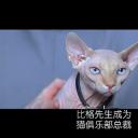 王牌大贱谍剧照