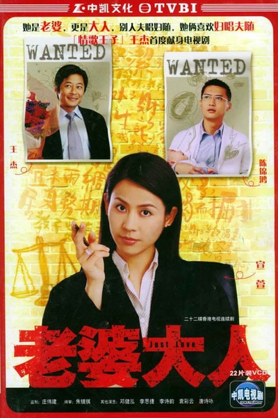 老婆大人的海报-正式海报