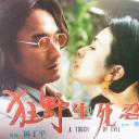 狂野生死恋剧照