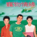宠物情缘