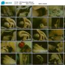 12/66 Cosinus Alpha剧照
