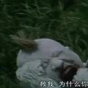 匹诺曹964号剧照