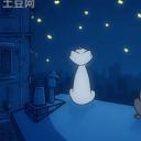 月朗星稀夜剧照