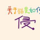 关于猫是如何侵占我的生活的剧照
