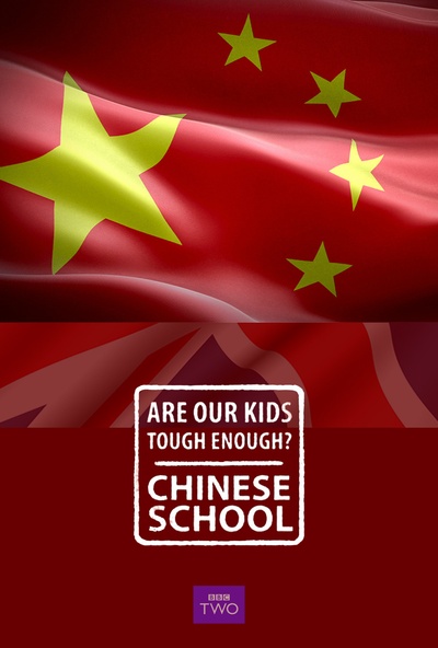 我们的孩子足够坚强吗？中式学校的海报-正式海报 饭制