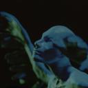 星辰剧照