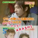 Mago Mago Arashi