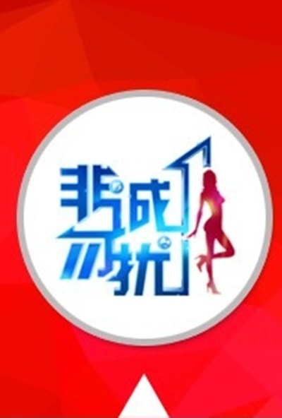 缘来非诚勿扰的海报-正式海报