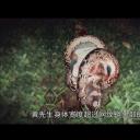 国家地理杂志：超级大蛇剧照