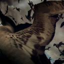 利维坦剧照