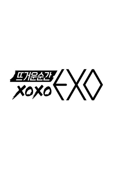 火热的瞬间XOXO EXO的海报-正式海报
