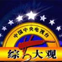 综艺大观