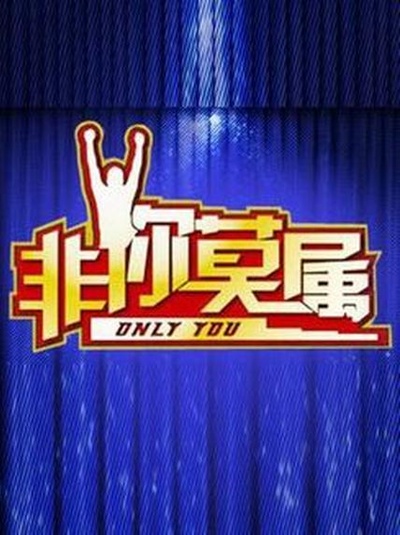 非你莫属的海报-正式海报