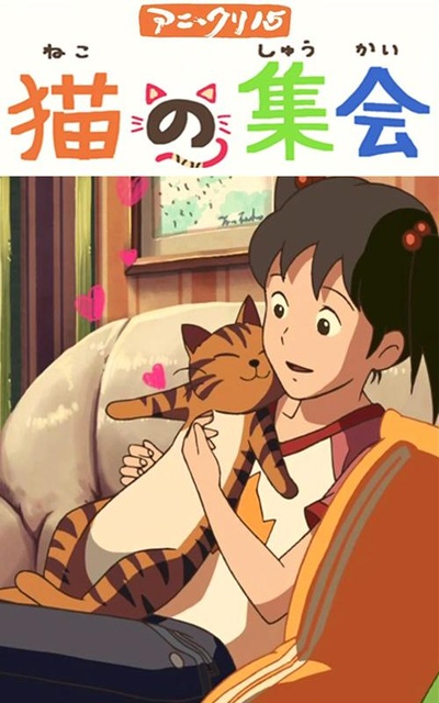 猫的集会的海报-正式海报