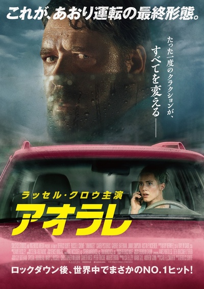 精神错乱的海报-正式海报 日本
