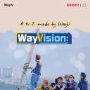 WayVision