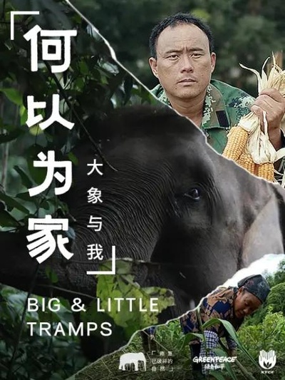 何以为家：大象与我的海报-正式海报