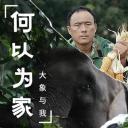 何以为家：大象与我