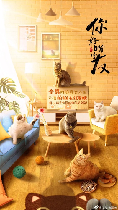 你好喵室友的海报-正式海报