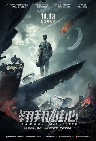 翱翔雄心的海报-正式海报 中国大陆