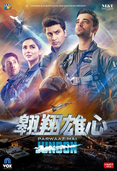 翱翔雄心的海报-正式海报
