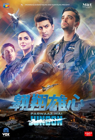 翱翔雄心的海报-预告海报 中国大陆