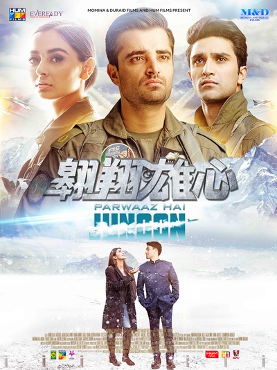 翱翔雄心的海报-预告海报