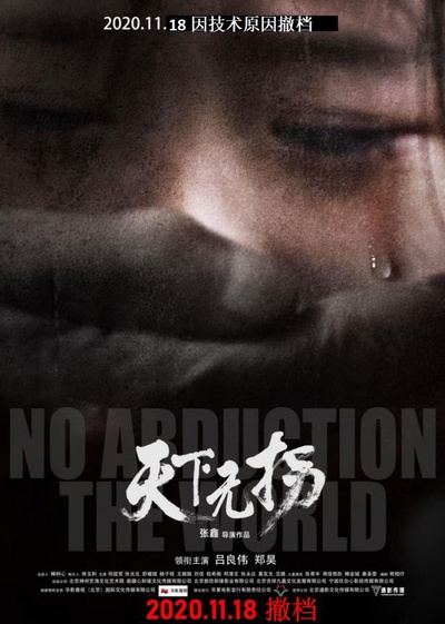 天下无拐的海报-正式海报